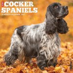 Cocker Spaniels 2026 12 X 12 Wall Calendar