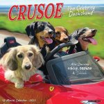 Crusoe the Celebrity Dachshund 2026 12 X 12 Wall Calendar