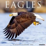 Eagles 2026 12 X 12 Wall Calendar
