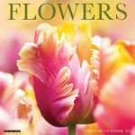Flowers 2026 12 X 12 Wall Calendar