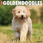 Goldendoodles 2026 12 X 12 Wall Calendar
