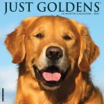 Goldens 2026 12 X 12 Wall Calendar