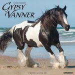 Gypsy Vanner Horse 2026 12 X 12 Wall Calendar
