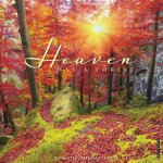 Heaven Has a Forest 2026 12 X 12 Wall Calendar