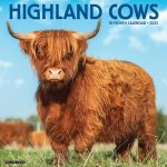 Highland Cows 2026 12 X 12 Wall Calendar