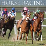 Horse Racing 2026 12 X 12 Wall Calendar
