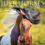 Horses 2026 12 X 12 Wall Calendar