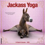 Jackass Yoga 2026 12 X 12 Wall Calendar
