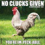 No Clucks Given 2026 12 X 12 Wall Calendar