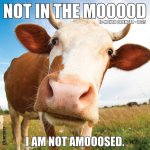 Not in the Mooood 2026 12 X 12 Wall Calendar