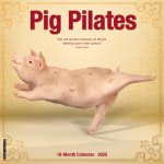 Pig Pilates 2026 12 X 12 Wall Calendar