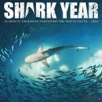 Shark Year 2026 12 X 12 Wall Calendar