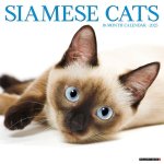 Siamese Cats 2026 12 X 12 Wall Calendar