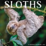 Sloths 2026 12 X 12 Wall Calendar