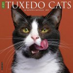 Tuxedo Cats 2026 12 X 12 Wall Calendar