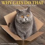 Why Cats Do That 2026 12 X 12 Wall Calendar