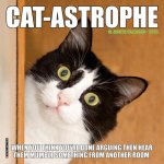 Cat-Astrophe 2026 7 X 7 Mini Wall Calendar