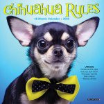 Chihuahua Rules 2026 7 X 7 Mini Wall Calendar