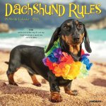 Dachshund Rules 2026 7 X 7 Mini Wall Calendar