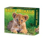 Baby Animals 2026 5.4 X 6.2 Box Calendar