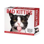 Bad Kitties 2026 5.4 X 6.2 Box Calendar