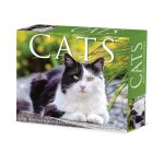 Cats 2026 5.4 X 6.2 Box Calendar