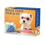 What Dogs Teach Us 2026 5.4 X 6.2 Box Calendar
