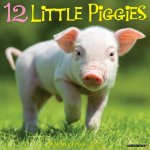 12 Little Piggies 2026 12 X 12 Wall Calendar