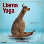 Llama Yoga 2026 12 X 12 Wall Calendar
