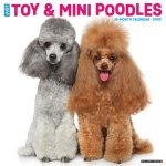 Toy & Miniature Poodles 2026 12 X 12 Wall Calendar