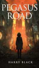 Pegasus Road