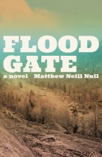 The Floodgate