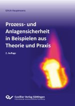 Prozess- und Anlagensicherheit in Beispielen aus Theorie und Praxis