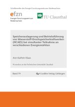 Speicherauslegung und Betriebsführung von Wasserstoff- Druckluftspeicherkraftwerken (HCAES) bei simultaner Teilnahme an verschiedenen Energiemärkten