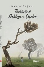 Türküsünü Bekleyen Siirler