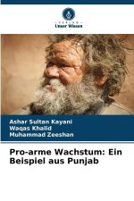 Pro-arme Wachstum: Ein Beispiel aus Punjab