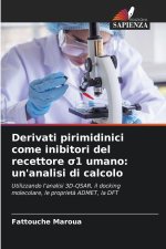 Derivati pirimidinici come inibitori del recettore ¿1 umano: un'analisi di calcolo