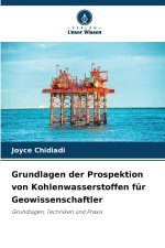 Grundlagen der Prospektion von Kohlenwasserstoffen für Geowissenschaftler