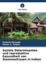 Soziale Determinanten und reproduktive Gesundheit von Stammesfrauen in Indien