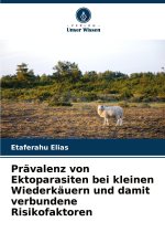 Prävalenz von Ektoparasiten bei kleinen Wiederkäuern und damit verbundene Risikofaktoren