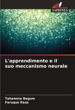 L'apprendimento e il suo meccanismo neurale