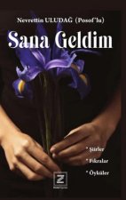 Sana Geldim