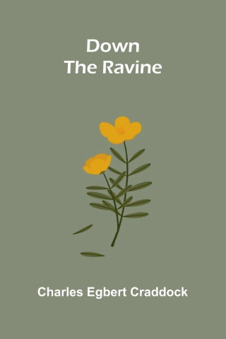 Down the Ravine