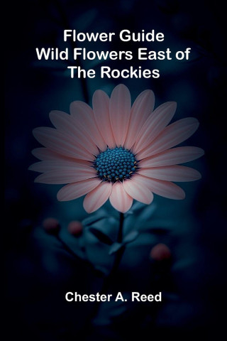 Flower Guide