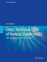 Cross-Sectional Atlas of Human Upper Limbs