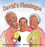David's Flamingos