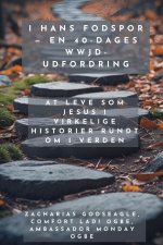 I hans fodspor - En 40-dages WWJD-udfordring - At leve som Jesus i virkelige historier rundt om i verden