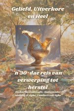 Geliefd, Uitverkore en Heel - 'n 30-dae reis van verwerping tot herstel