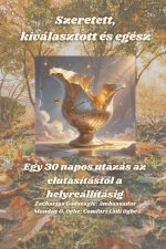 Szeretett, kiválasztott és egész -  Egy 30 napos utazás az elutasítástól a helyreállításig