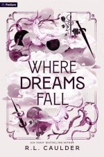 Where Dreams Fall